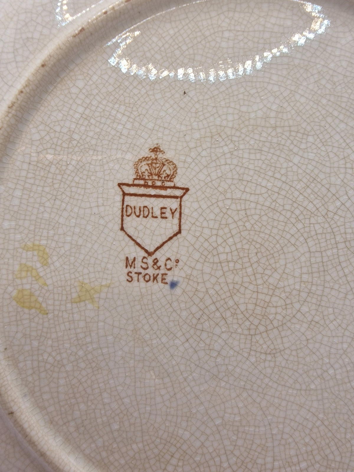 Antique Myott Son and Co Porcelain Plate, Dudley Peony Floral Pattern, Victorian English Pottery 1894-1902, Decorative Display Plate – photo 6