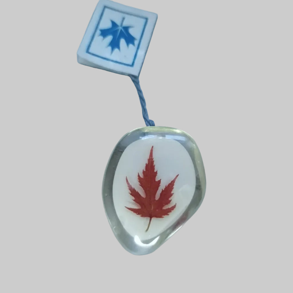 Beaver Handcrafts Vintage Canadian Maple Leaf Brooch Natural Preserved Plastic
