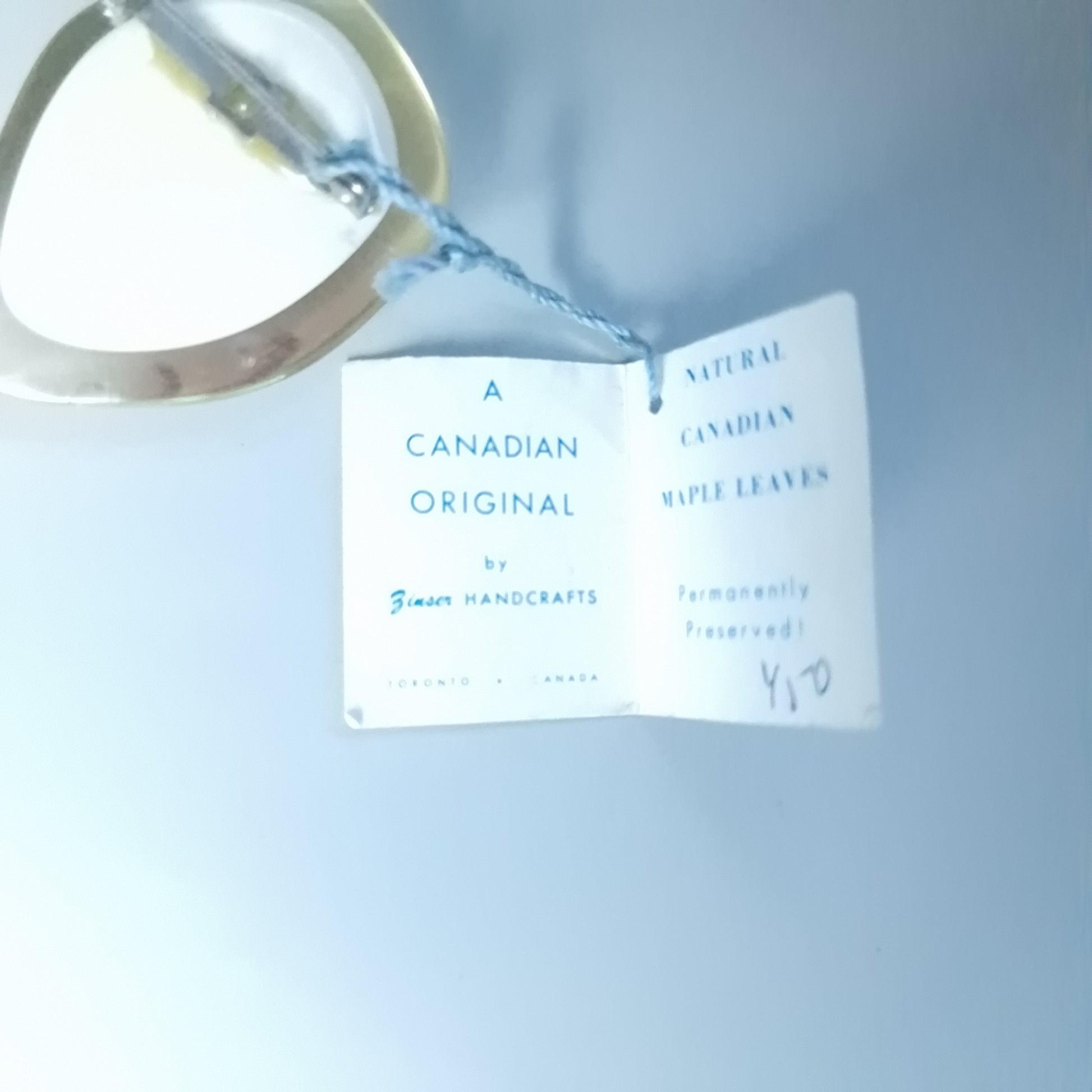 Beaver Handcrafts Vintage Canadian Maple Leaf Brooch Natural Preserved Plastic – photo 4